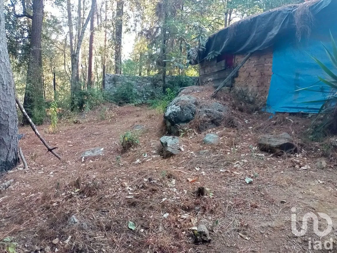Terreno en Venta en Avándaro, Valle de Bravo, Estado De México | NEX-231054 | iad México | Foto 7 de 8
