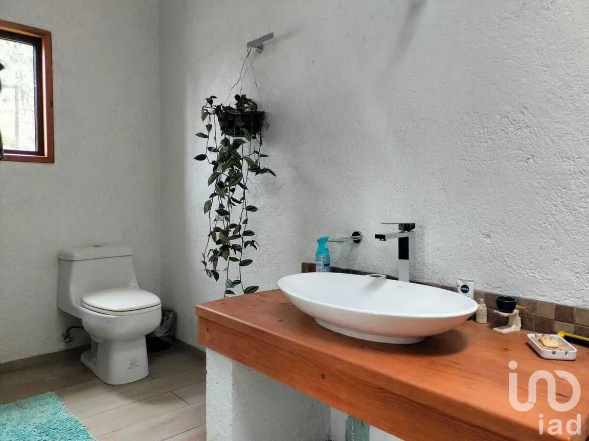 Casa en Renta en Avándaro, Valle de Bravo, Estado De México | NEX-231055 | iad México | Foto 6 de 21