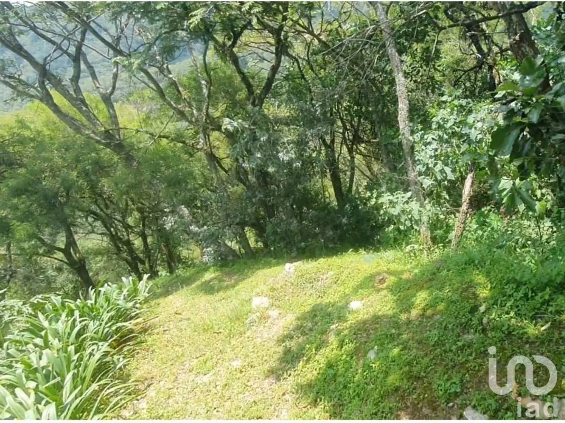Terreno en Venta en Valle de Bravo, Valle de Bravo, Estado De México | NEX-231125 | iad México | Foto 3 de 8