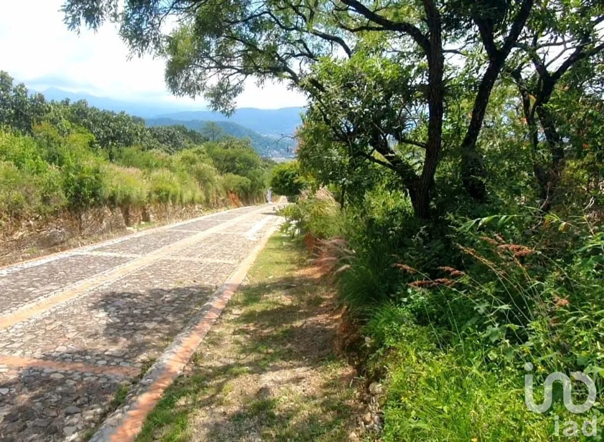 Terreno en Venta en Valle de Bravo, Valle de Bravo, Estado De México | NEX-231125 | iad México | Foto 4 de 8