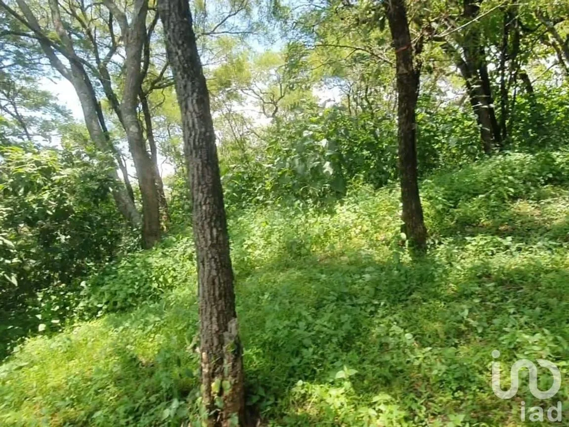Terreno en Venta en Valle de Bravo, Valle de Bravo, Estado De México | NEX-231125 | iad México | Foto 5 de 8