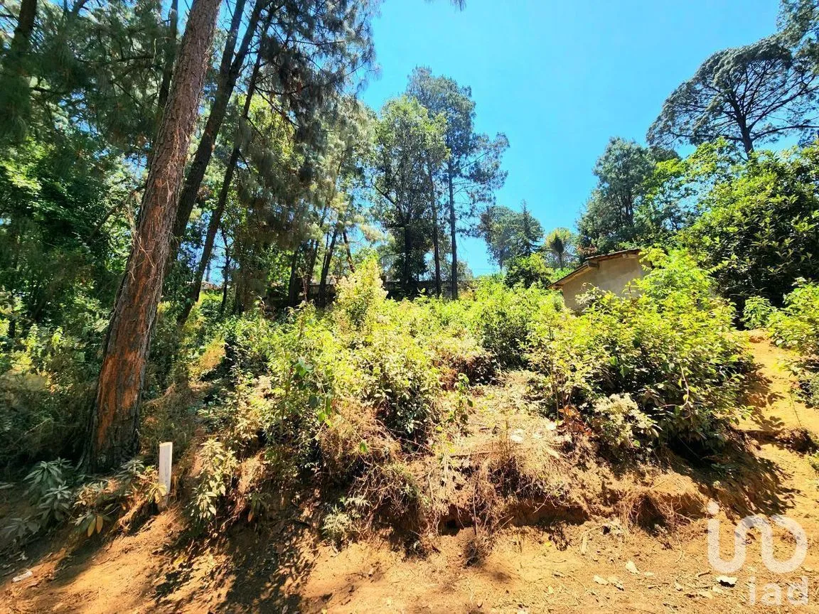 Terreno en Venta en Cerro Gordo, Valle de Bravo, Estado De México | NEX-231128 | iad México | Foto 11 de 15