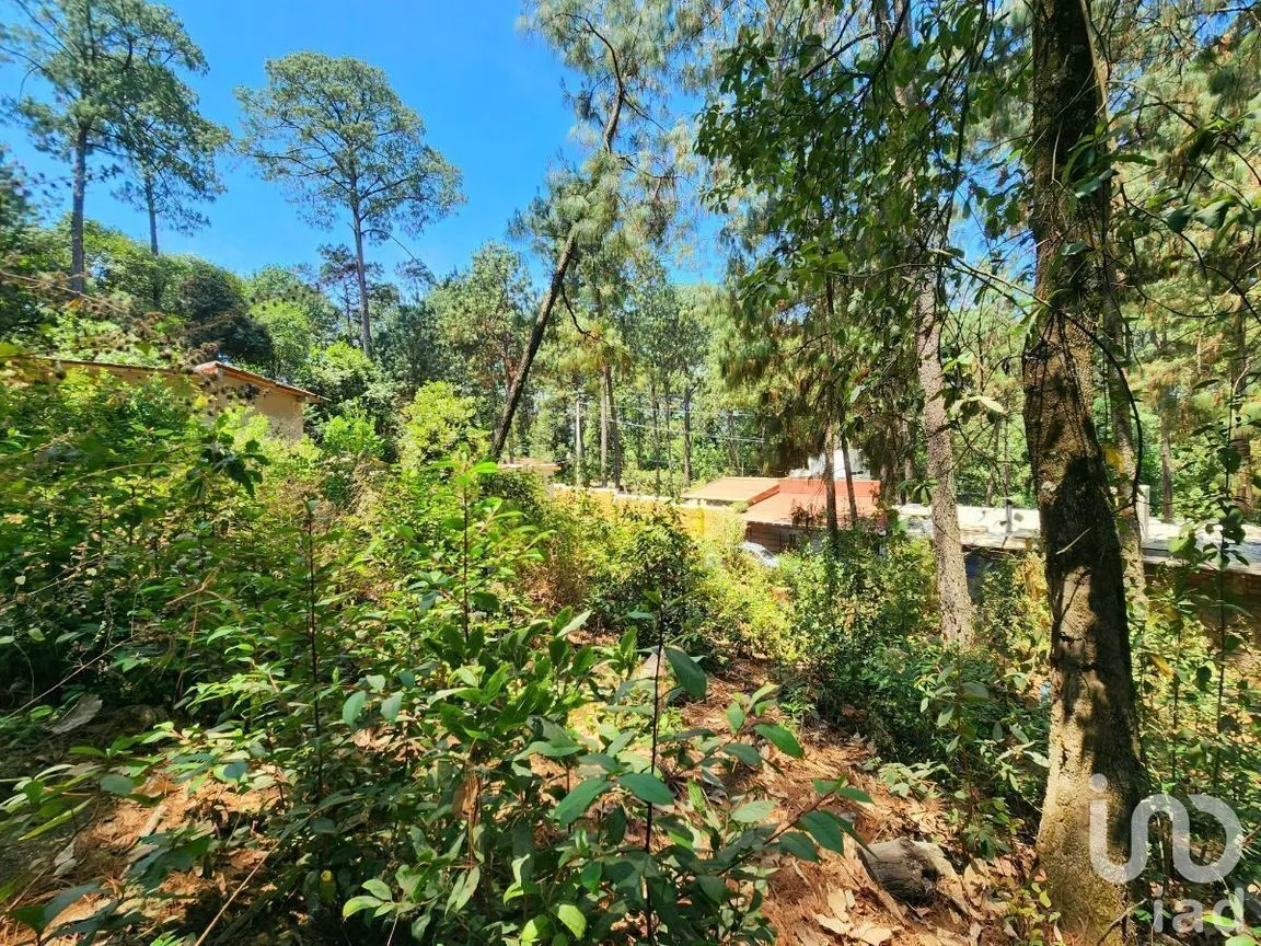 Terreno en Venta en Cerro Gordo, Valle de Bravo, Estado De México | NEX-231128 | iad México | Foto 12 de 15