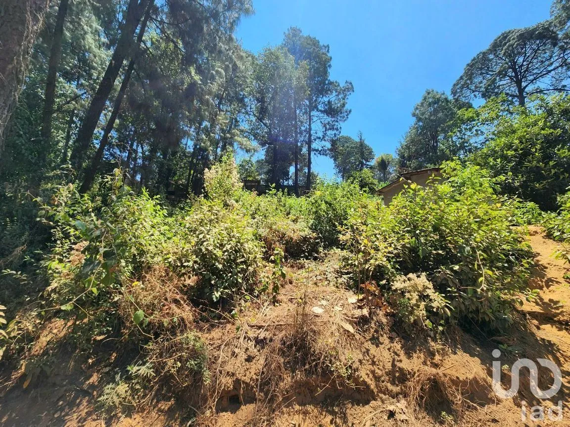 Terreno en Venta en Cerro Gordo, Valle de Bravo, Estado De México | NEX-231128 | iad México | Foto 13 de 15