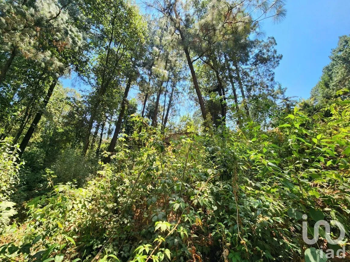 Terreno en Venta en Cerro Gordo, Valle de Bravo, Estado De México | NEX-231128 | iad México | Foto 14 de 15