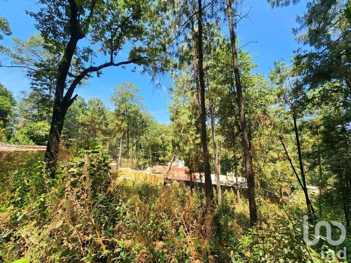 Terreno en Venta en Cerro Gordo, Valle de Bravo, Estado De México | NEX-231128 | iad México | Foto 15 de 15