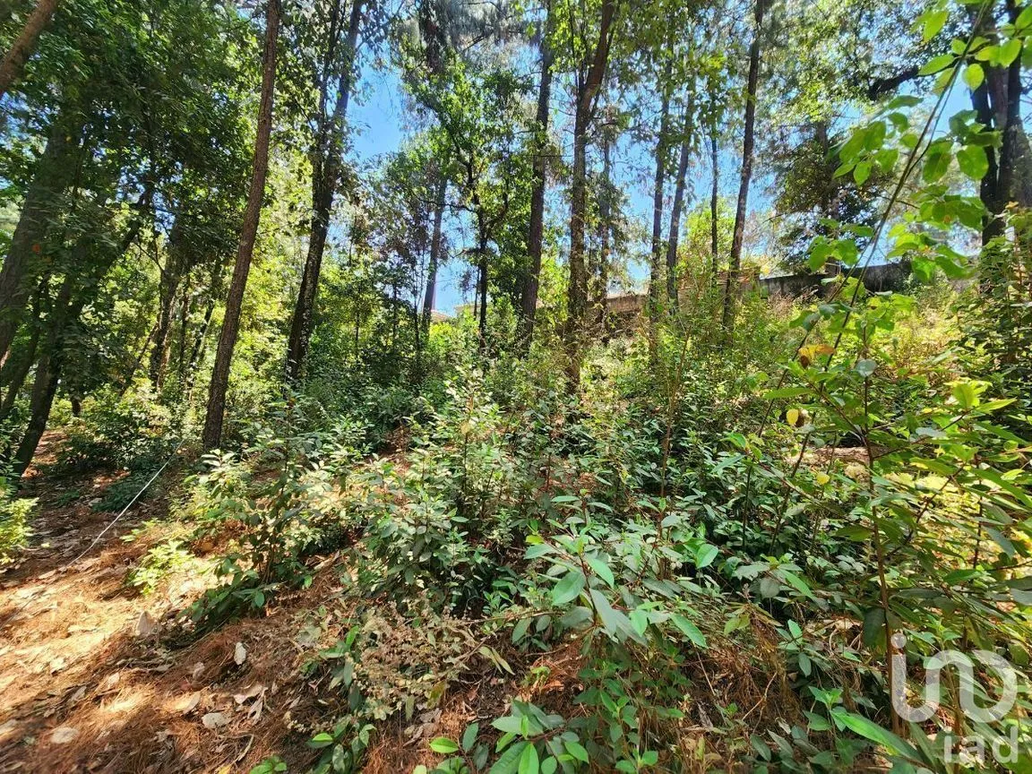 Terreno en Venta en Cerro Gordo, Valle de Bravo, Estado De México | NEX-231128 | iad México | Foto 3 de 15
