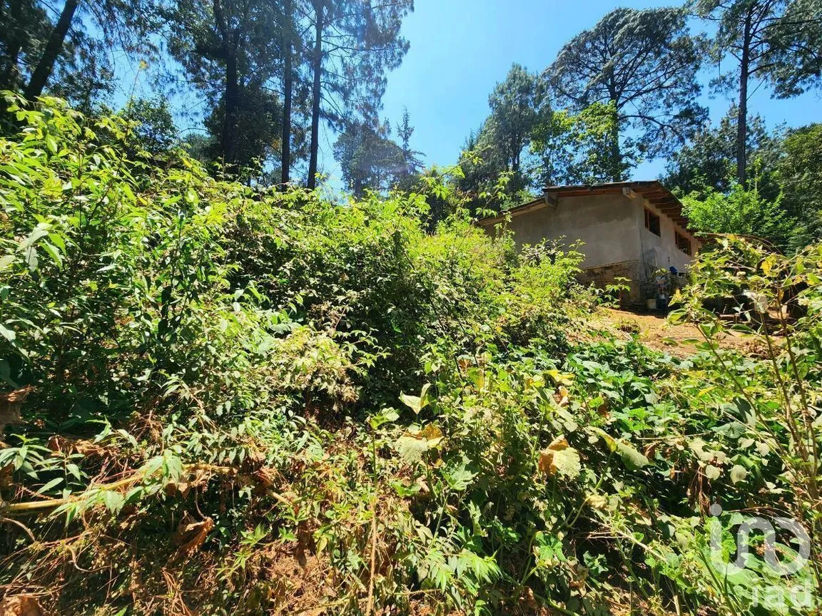Terreno en Venta en Cerro Gordo, Valle de Bravo, Estado De México | NEX-231128 | iad México | Foto 4 de 15