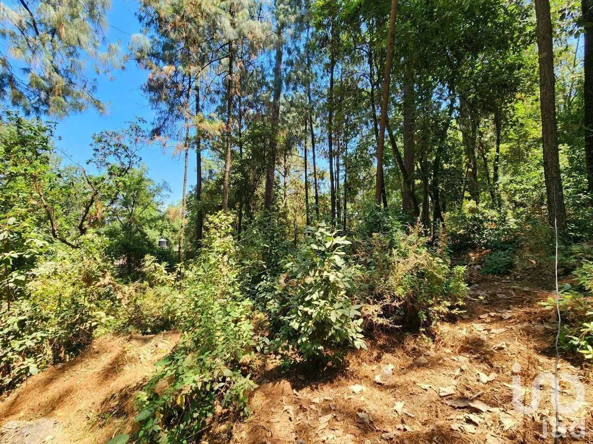 Terreno en Venta en Cerro Gordo, Valle de Bravo, Estado De México | NEX-231128 | iad México | Foto 6 de 15