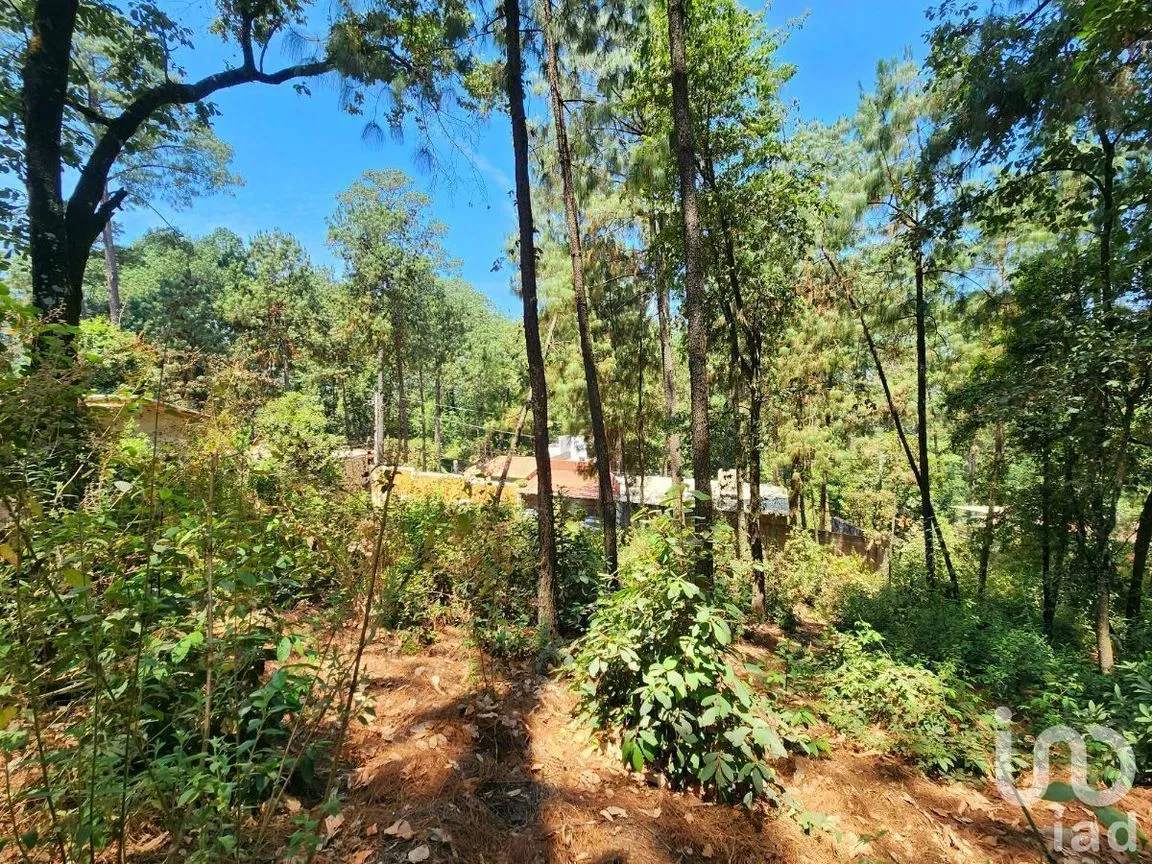 Terreno en Venta en Cerro Gordo, Valle de Bravo, Estado De México | NEX-231128 | iad México | Foto 8 de 15