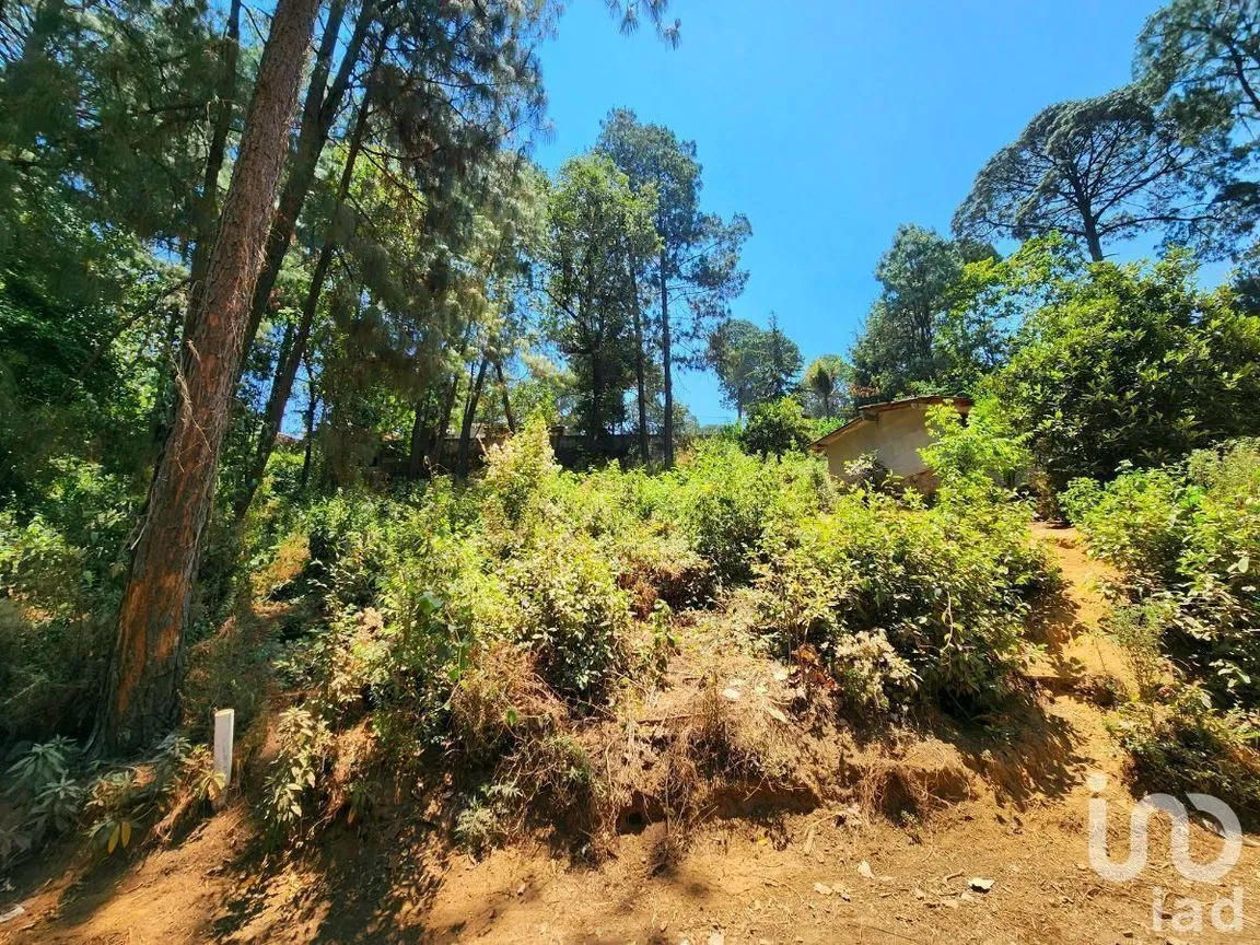 Terreno en Venta en Cerro Gordo, Valle de Bravo, Estado De México | NEX-231128 | iad México | Foto 1 de 15