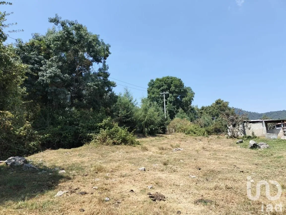 Terreno en Venta en Cerro Gordo, Valle de Bravo, Estado De México | NEX-231129 | iad México | Foto 3 de 3