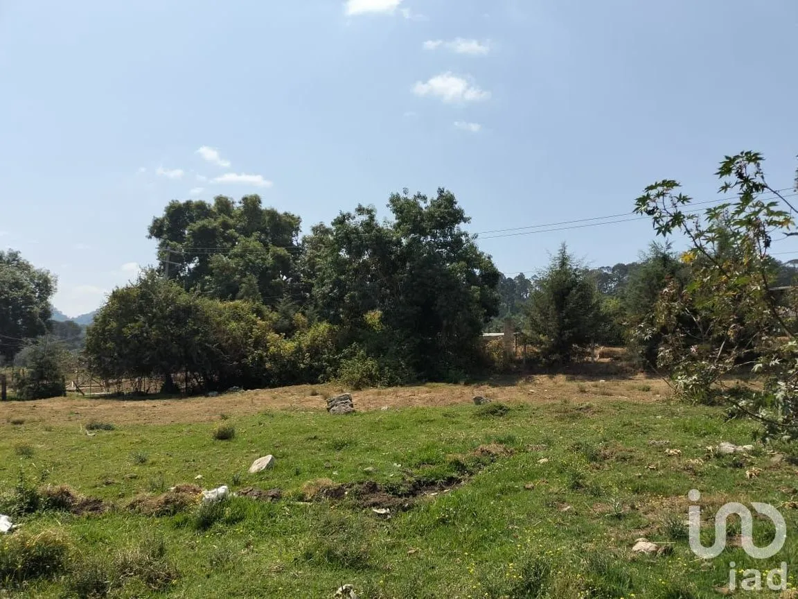 Terreno en Venta en Cerro Gordo, Valle de Bravo, Estado De México | NEX-231129 | iad México | Foto 1 de 3