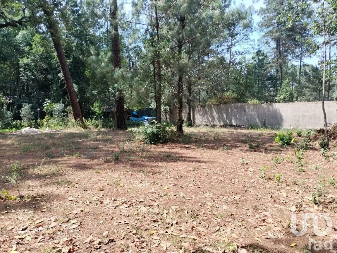 Terreno en Venta en Cerro Gordo, Valle de Bravo, Estado De México | NEX-231130 | iad México | Foto 2 de 3