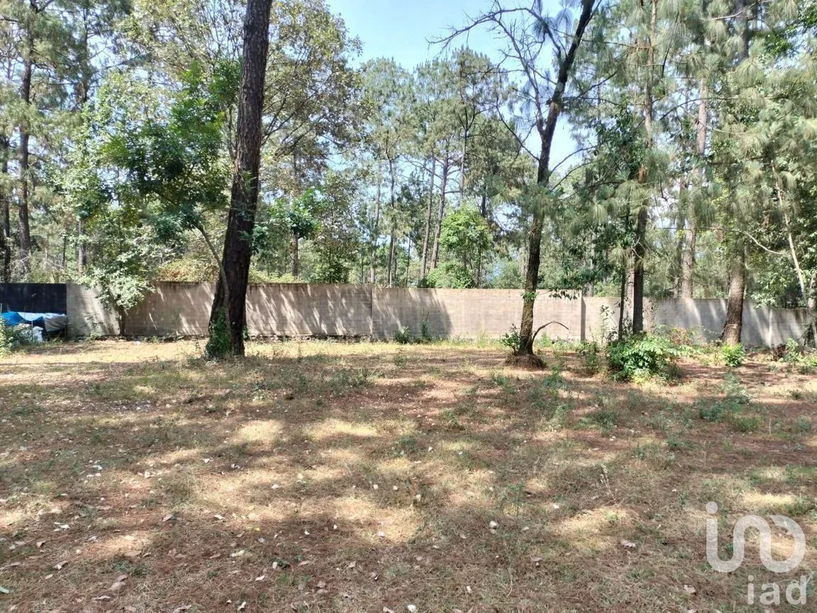 Terreno en Venta en Cerro Gordo, Valle de Bravo, Estado De México | NEX-231130 | iad México | Foto 3 de 3