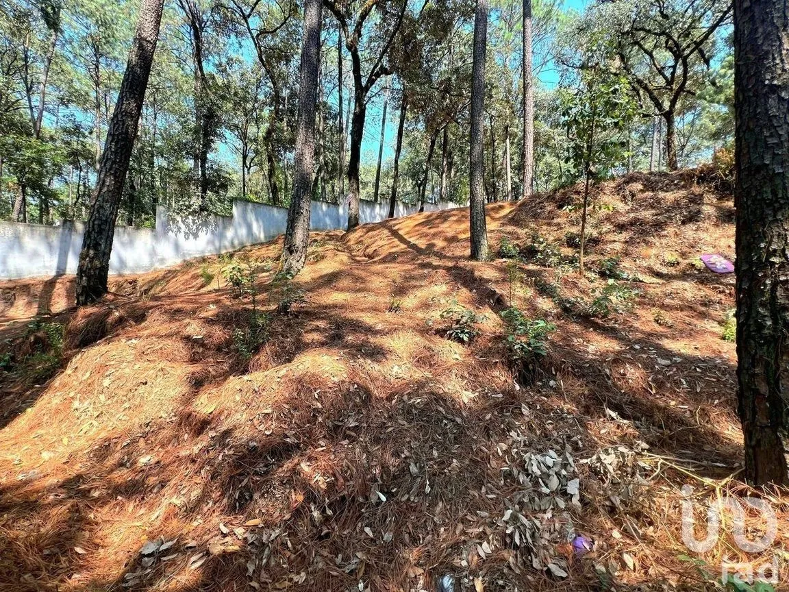 Terreno en Venta en Avándaro, Valle de Bravo, Estado De México | NEX-231133 | iad México | Foto 2 de 7