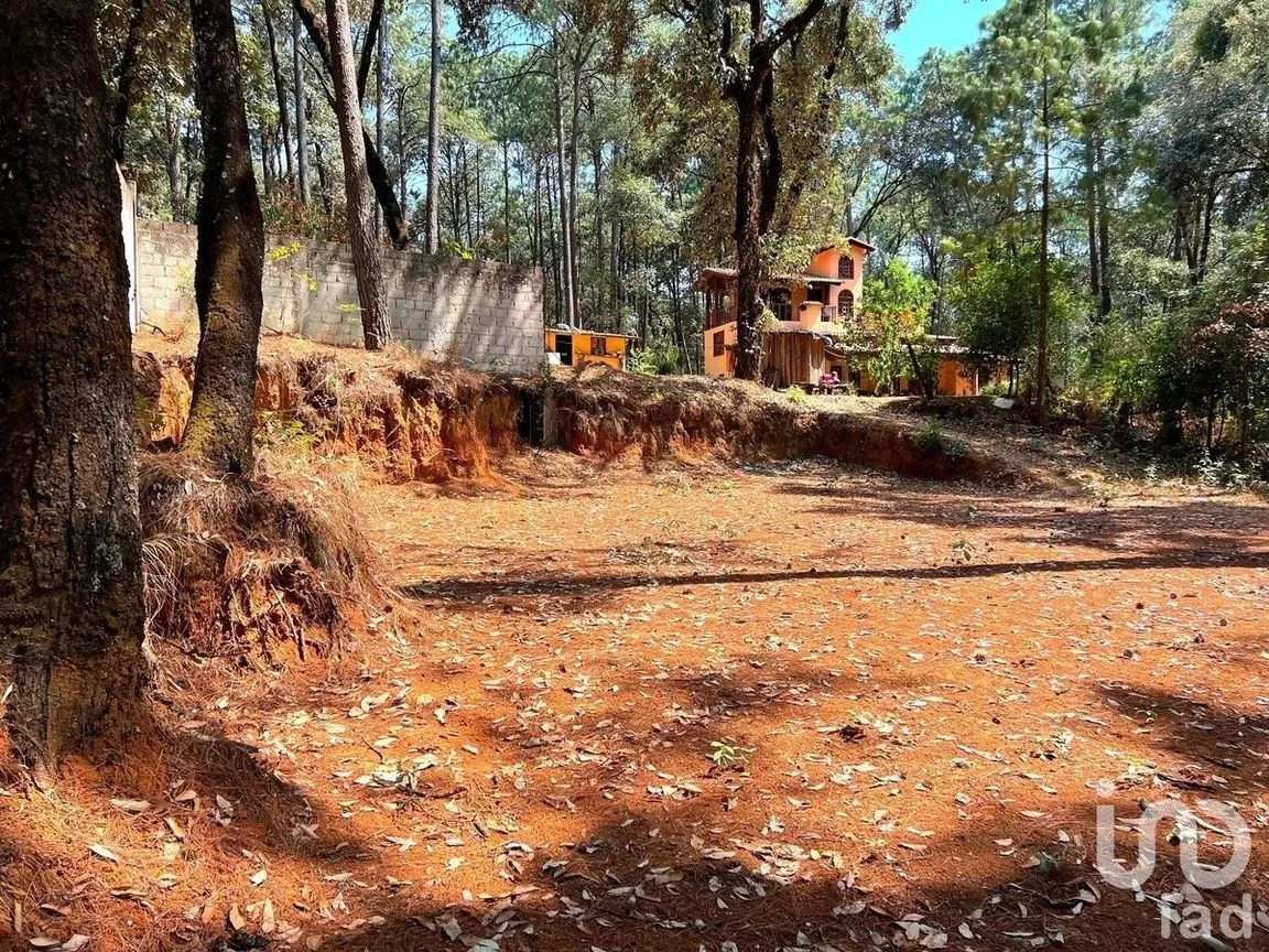 Terreno en Venta en Avándaro, Valle de Bravo, Estado De México | NEX-231133 | iad México | Foto 3 de 7