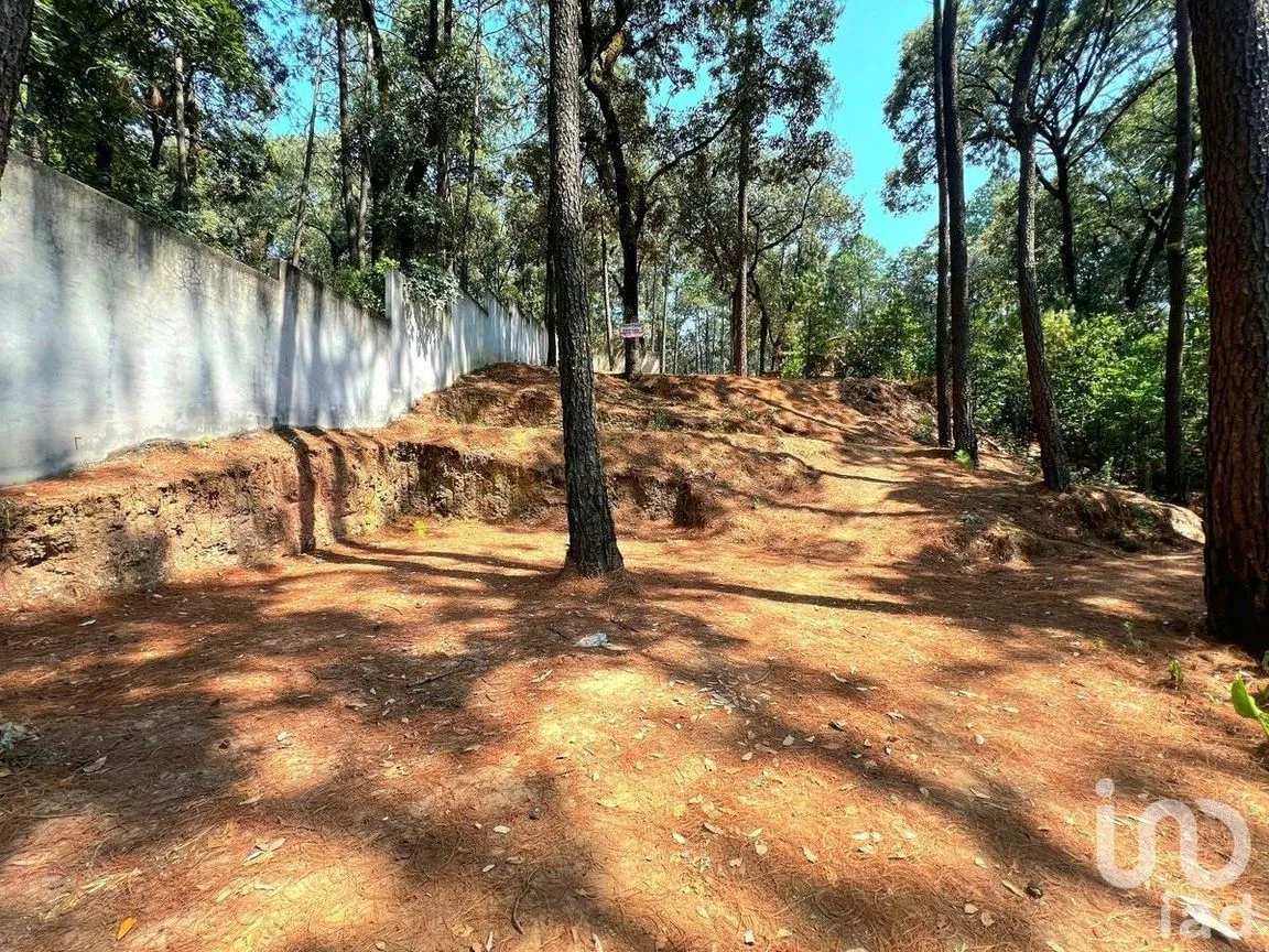 Terreno en Venta en Avándaro, Valle de Bravo, Estado De México | NEX-231133 | iad México | Foto 4 de 7
