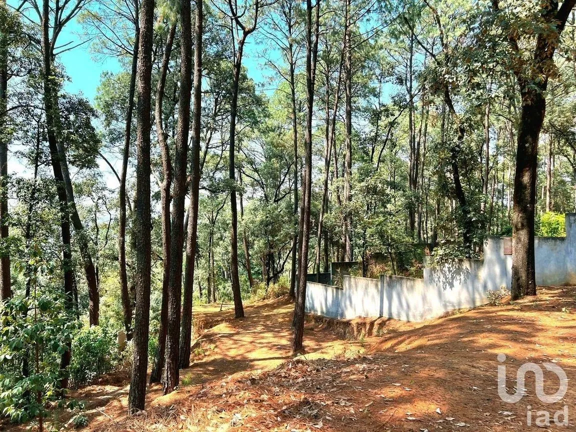 Terreno en Venta en Avándaro, Valle de Bravo, Estado De México | NEX-231133 | iad México | Foto 5 de 7