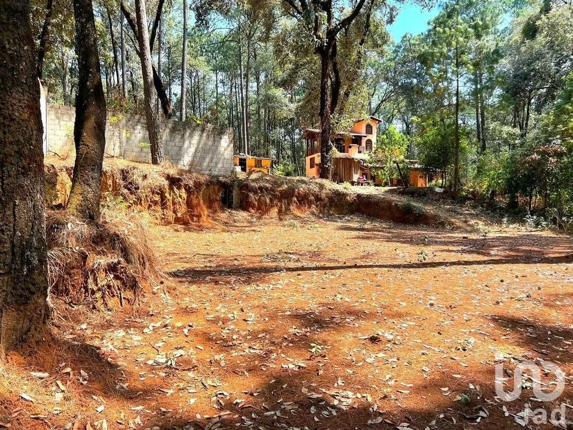 Terreno en Venta en Avándaro, Valle de Bravo, Estado De México | NEX-231133 | iad México | Foto 6 de 7