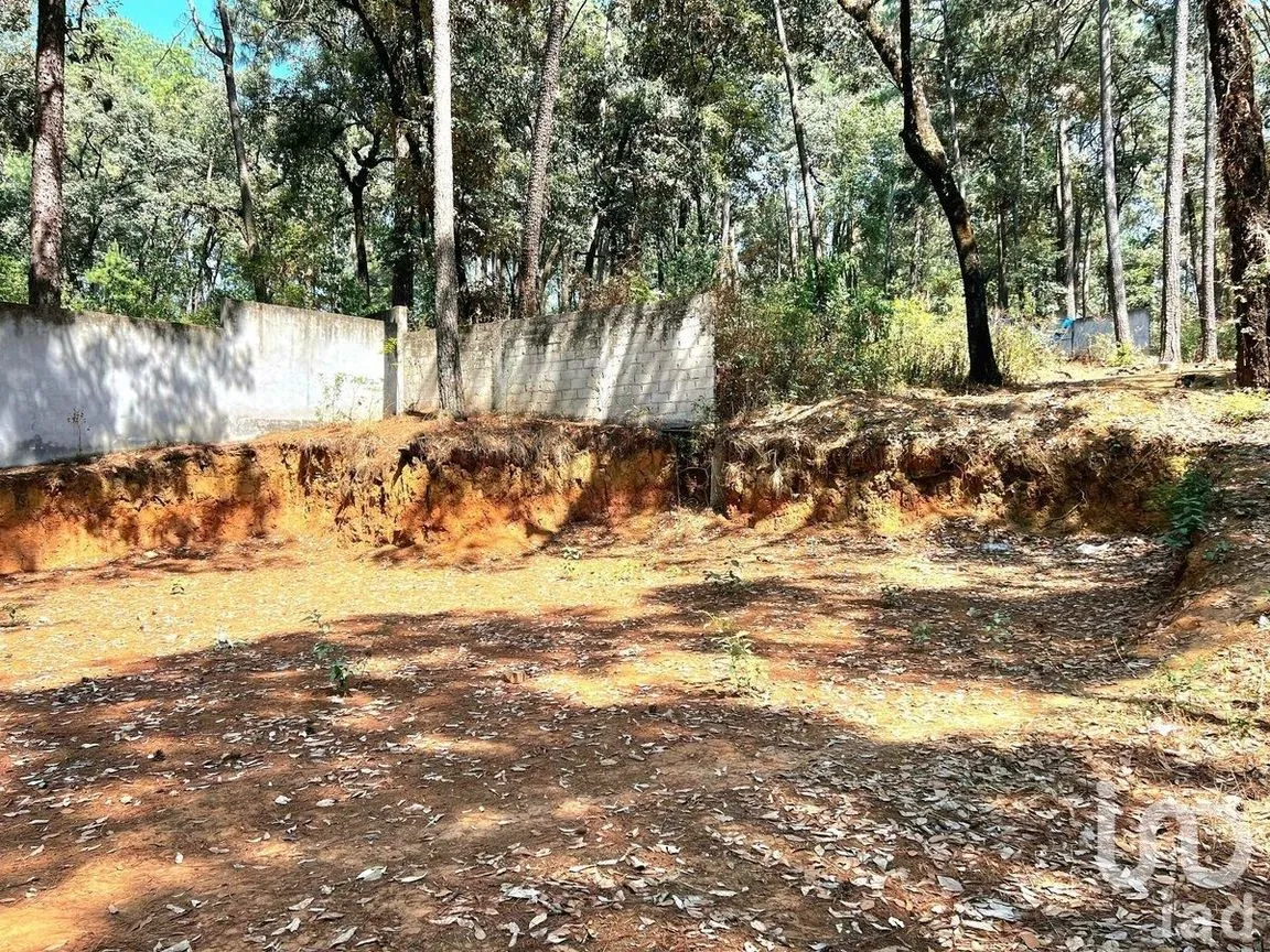 Terreno en Venta en Avándaro, Valle de Bravo, Estado De México | NEX-231133 | iad México | Foto 7 de 7