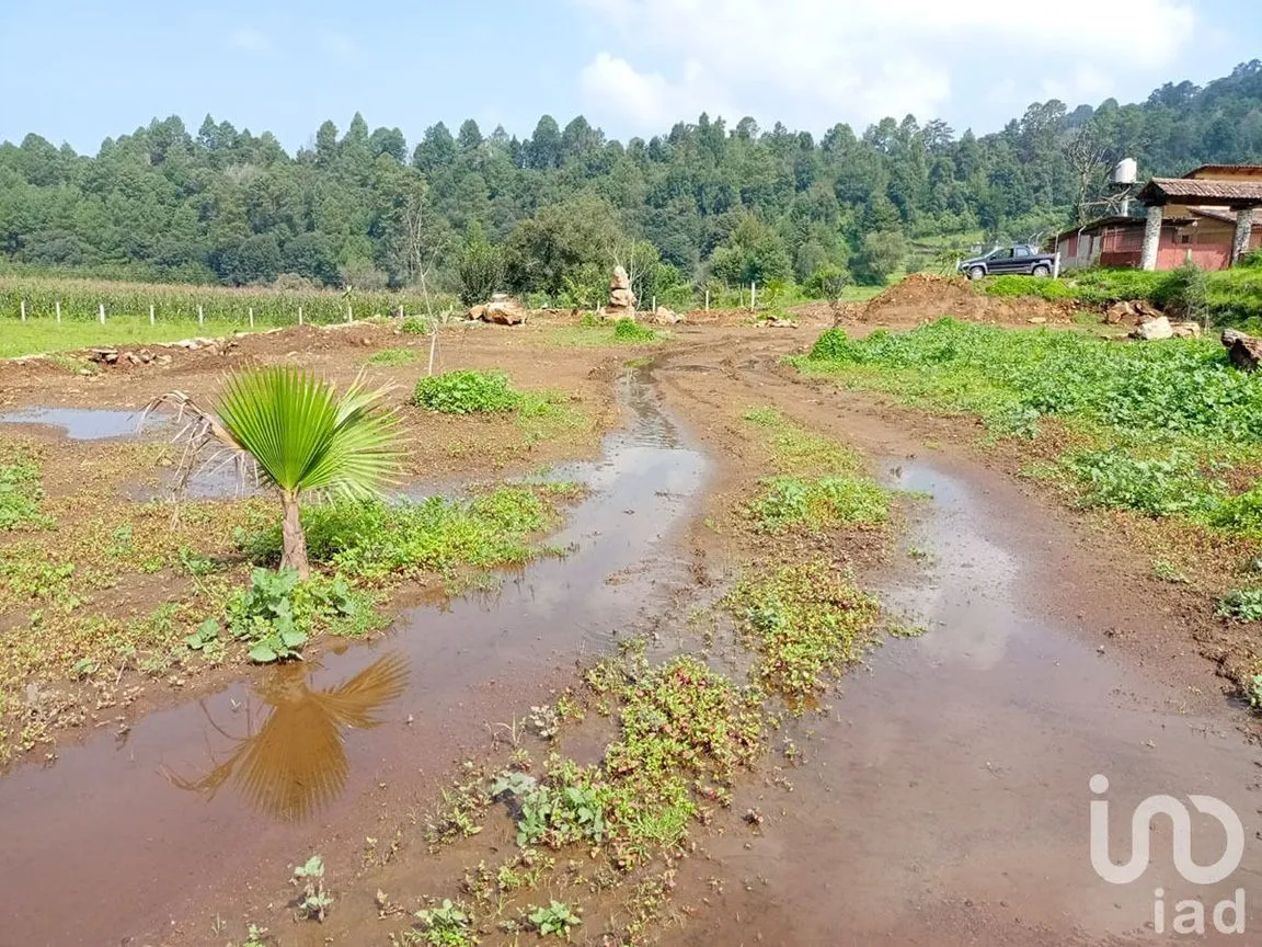 Terreno en Venta en Los Saúcos, Valle de Bravo, Estado De México | NEX-231260 | iad México | Foto 4 de 11