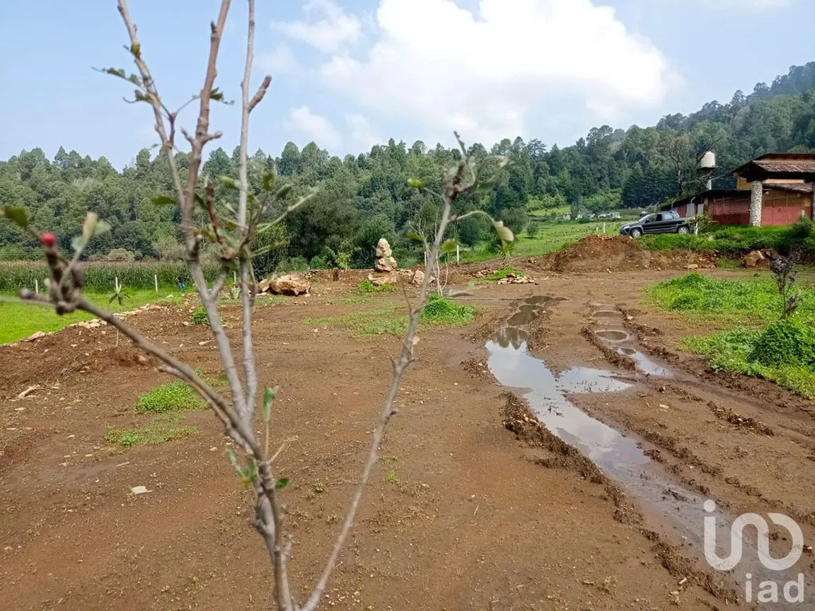 Terreno en Venta en Los Saúcos, Valle de Bravo, Estado De México | NEX-231260 | iad México | Foto 5 de 11