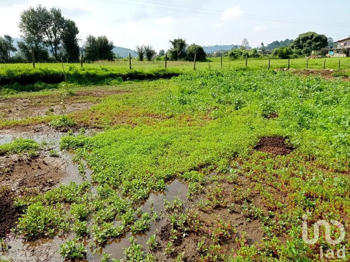 Terreno en Venta en Los Saúcos, Valle de Bravo, Estado De México | NEX-231260 | iad México | Foto 7 de 11