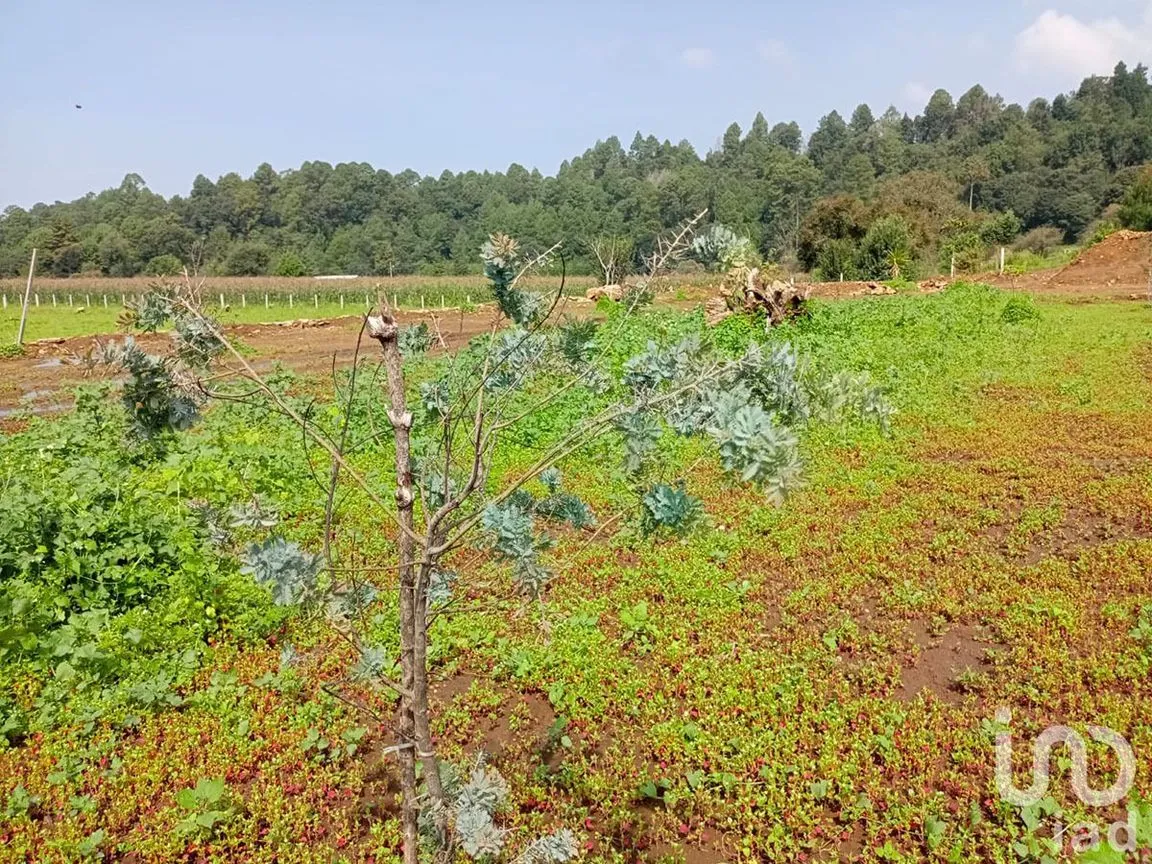 Terreno en Venta en Los Saúcos, Valle de Bravo, Estado De México | NEX-231260 | iad México | Foto 8 de 11