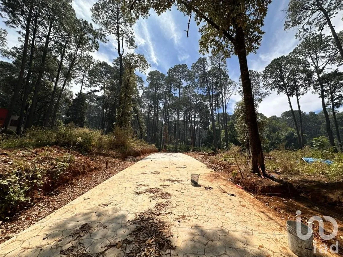 Terreno en Venta en Avándaro, Valle de Bravo, Estado De México | NEX-231262 | iad México | Foto 2 de 25