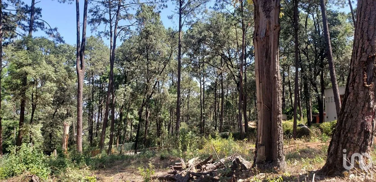 Terreno en Venta en Avándaro, Valle de Bravo, Estado De México | NEX-231262 | iad México | Foto 11 de 25