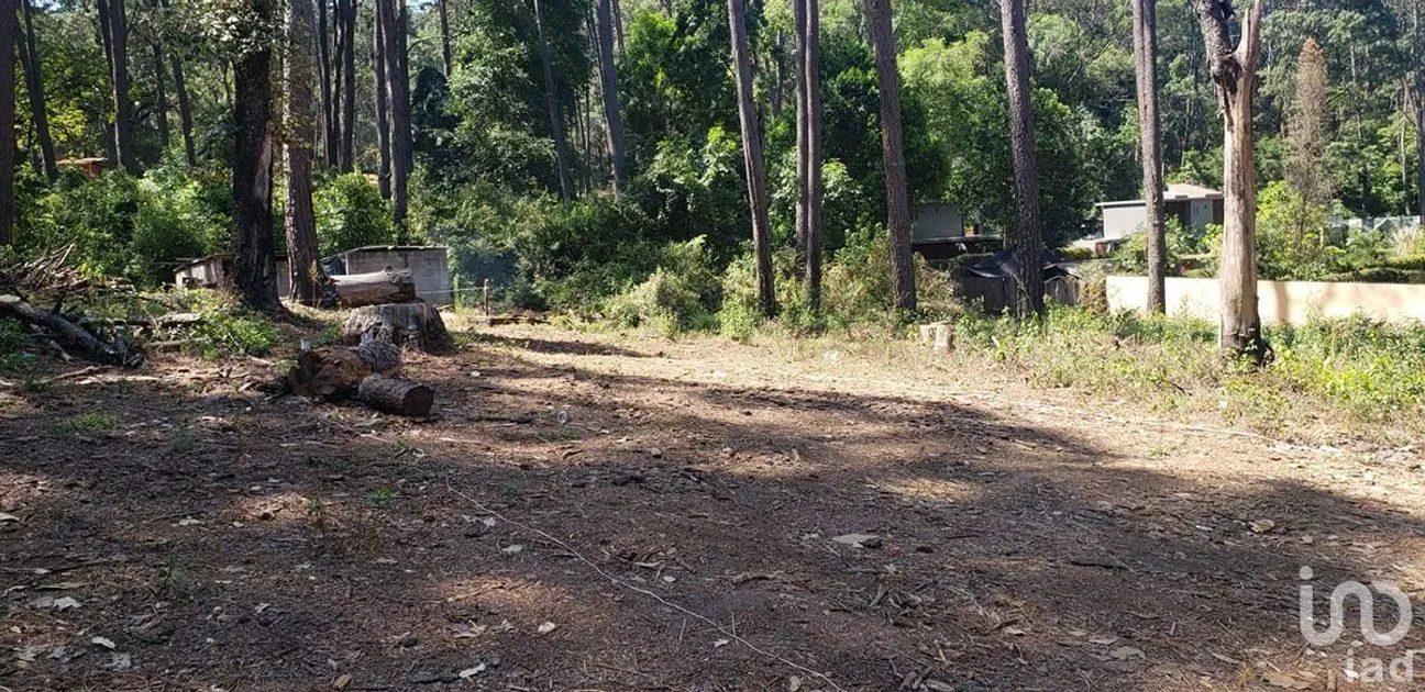 Terreno en Venta en Avándaro, Valle de Bravo, Estado De México | NEX-231262 | iad México | Foto 12 de 25