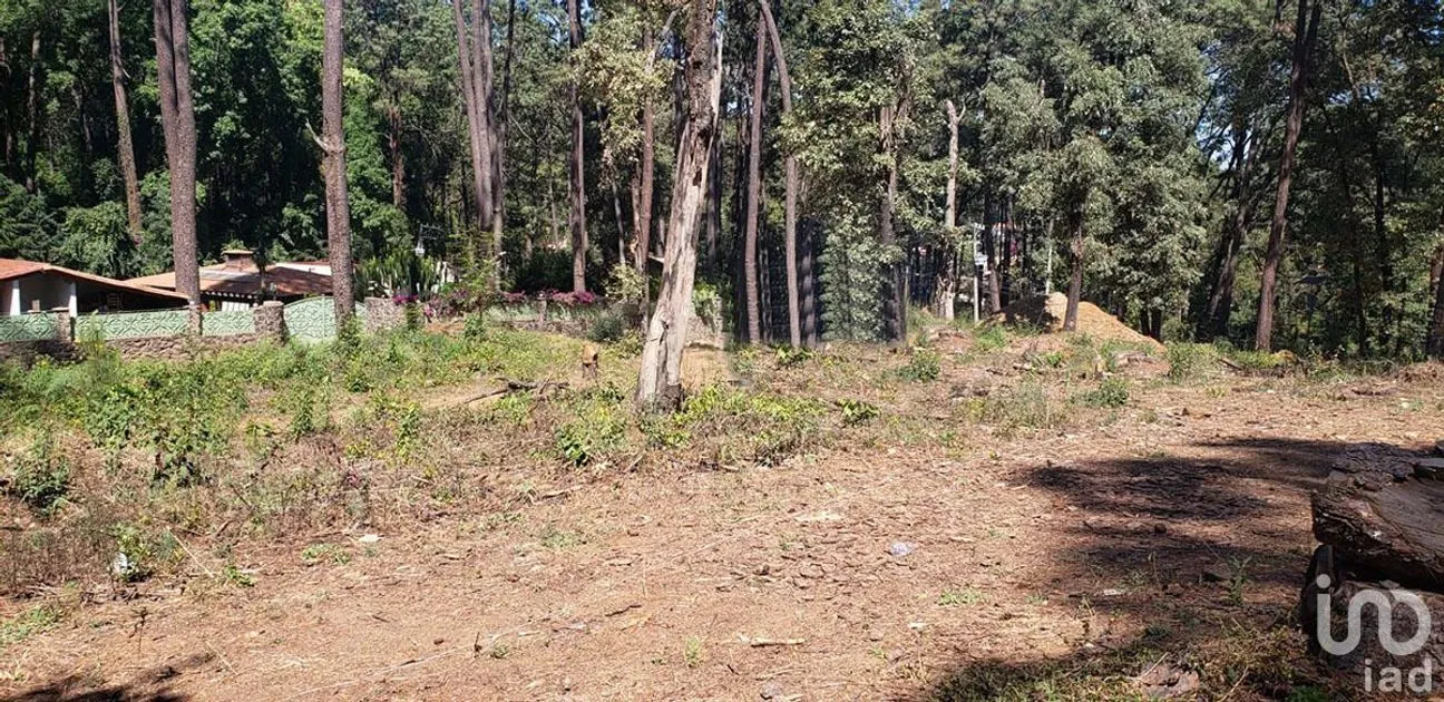 Terreno en Venta en Avándaro, Valle de Bravo, Estado De México | NEX-231262 | iad México | Foto 13 de 25