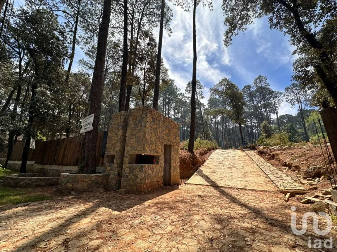Terreno en Venta en Avándaro, Valle de Bravo, Estado De México | NEX-231262 | iad México | Foto 3 de 25