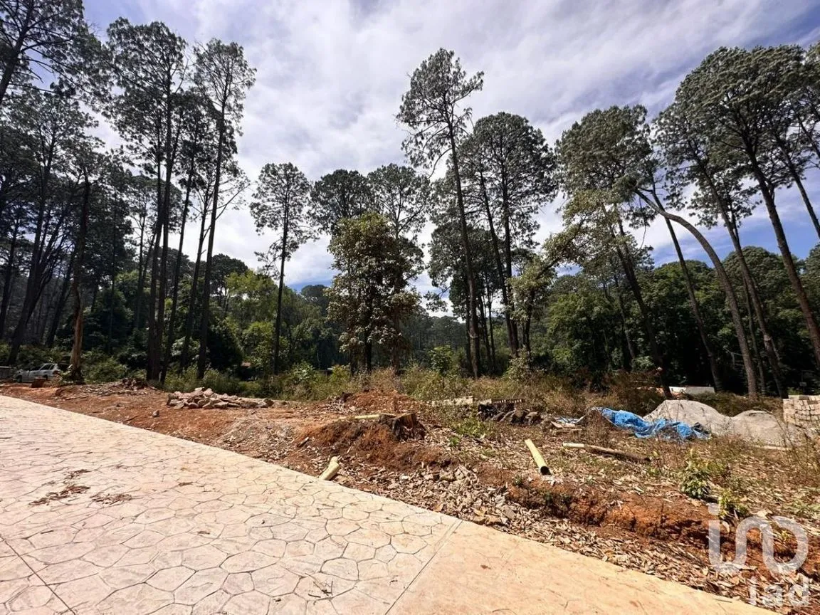 Terreno en Venta en Avándaro, Valle de Bravo, Estado De México | NEX-231262 | iad México | Foto 4 de 25