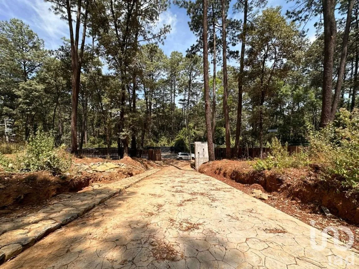 Terreno en Venta en Avándaro, Valle de Bravo, Estado De México | NEX-231262 | iad México | Foto 6 de 25