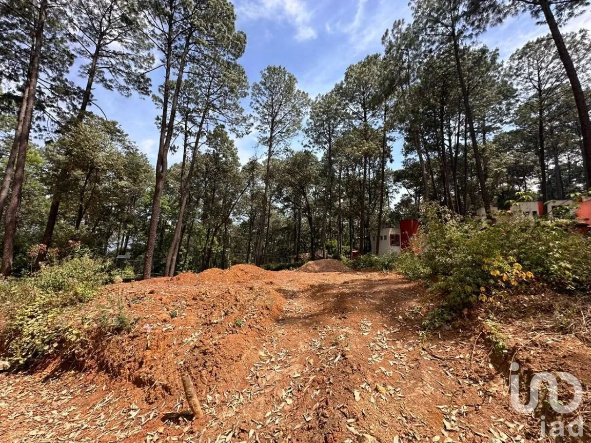 Terreno en Venta en Avándaro, Valle de Bravo, Estado De México | NEX-231262 | iad México | Foto 7 de 25