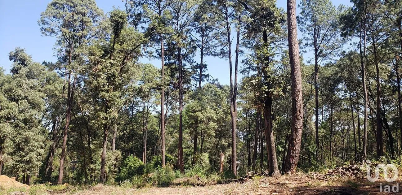 Terreno en Venta en Avándaro, Valle de Bravo, Estado De México | NEX-231262 | iad México | Foto 8 de 25