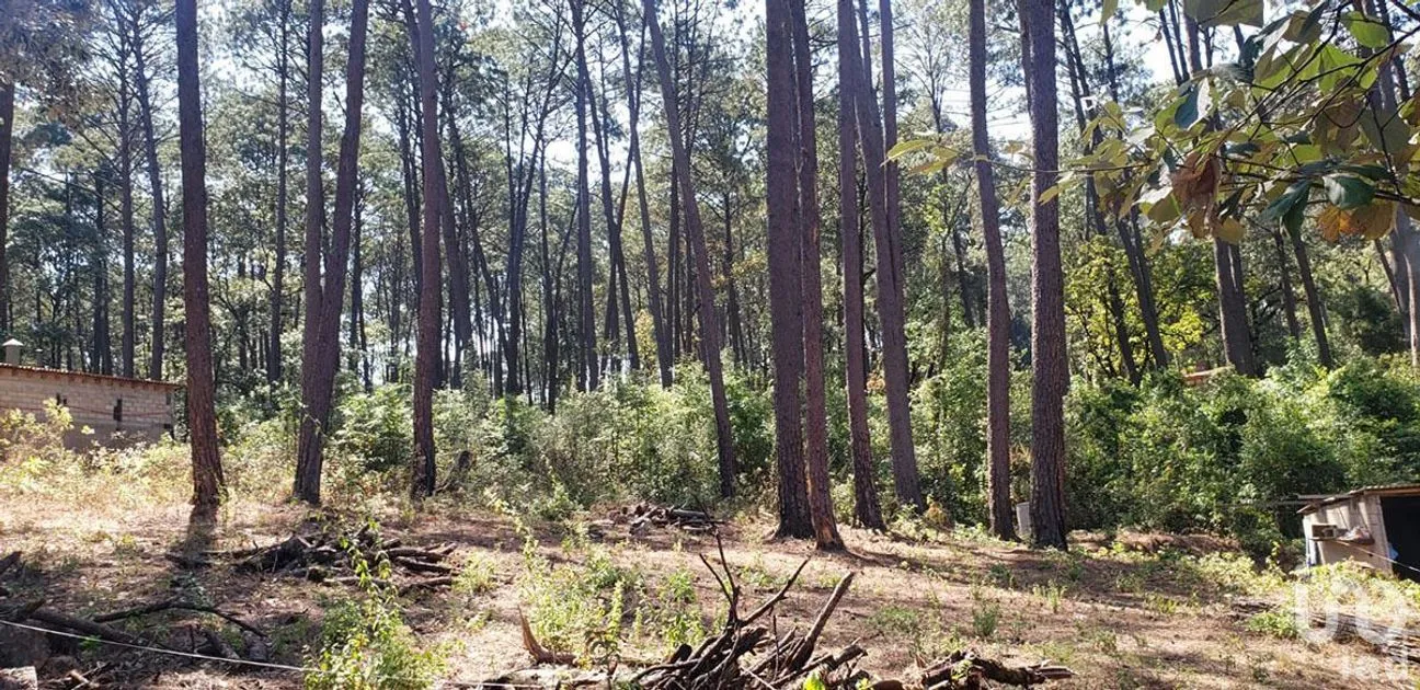 Terreno en Venta en Avándaro, Valle de Bravo, Estado De México | NEX-231262 | iad México | Foto 9 de 25