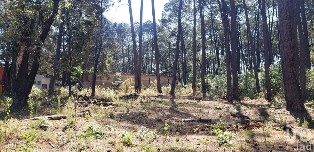 Terreno en Venta en Avándaro, Valle de Bravo, Estado De México | NEX-231262 | iad México | Foto 10 de 25