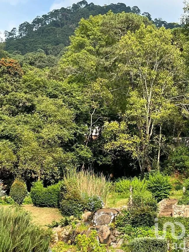 Terreno en Venta en Valle de Bravo, Valle de Bravo, Estado De México | NEX-231265 | iad México | Foto 7 de 12