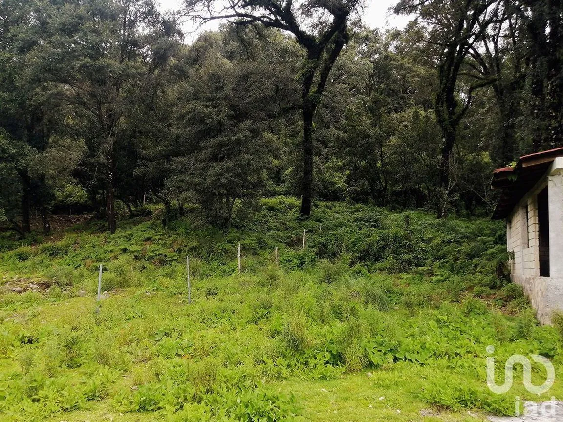 Terreno en Venta en Santo Tomás el Pedregal, Valle de Bravo, Estado De México | NEX-231267 | iad México | Foto 3 de 11