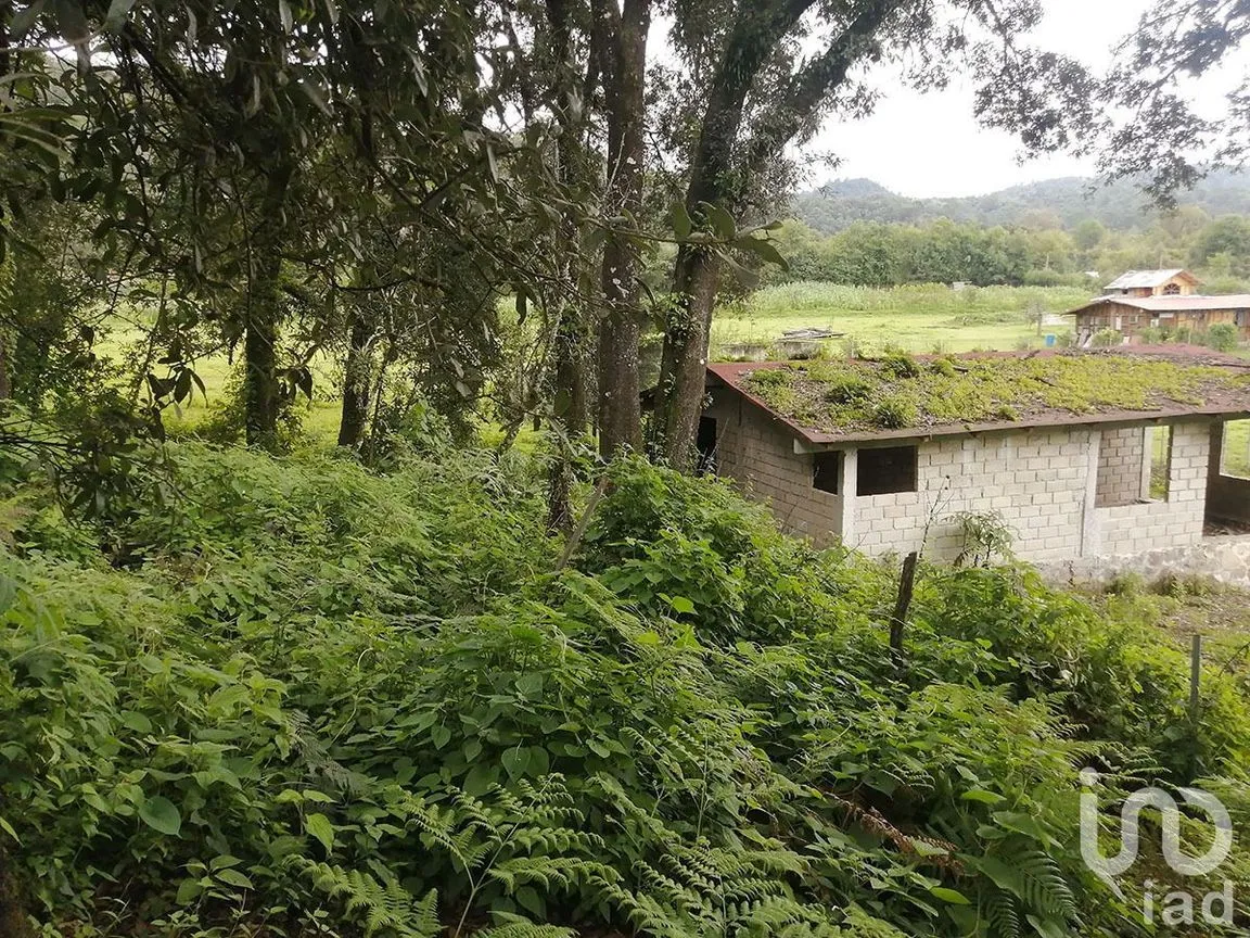 Terreno en Venta en Santo Tomás el Pedregal, Valle de Bravo, Estado De México | NEX-231267 | iad México | Foto 7 de 11