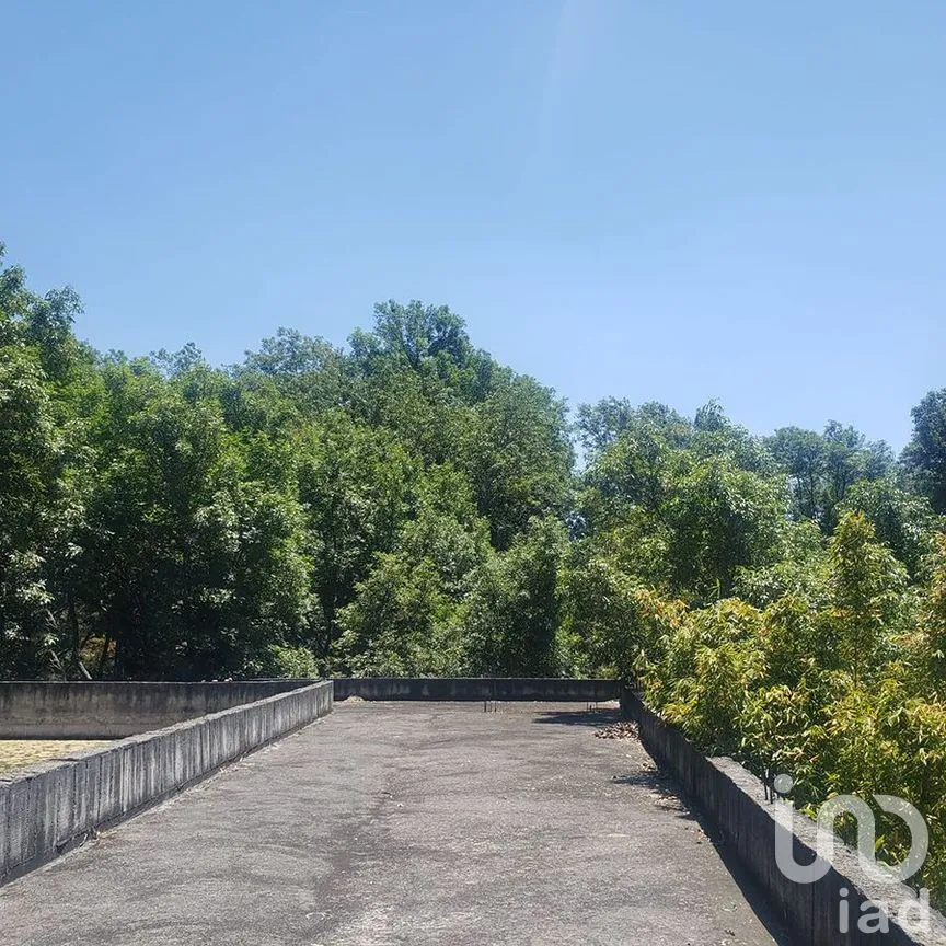 Terreno en Venta en Valle de Bravo, Valle de Bravo, Estado De México | NEX-231512 | iad México | Foto 7 de 11