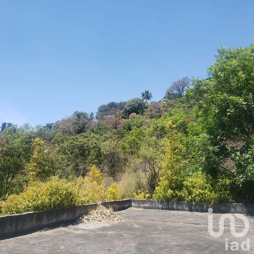 Terreno en Venta en Valle de Bravo, Valle de Bravo, Estado De México | NEX-231512 | iad México | Foto 9 de 11