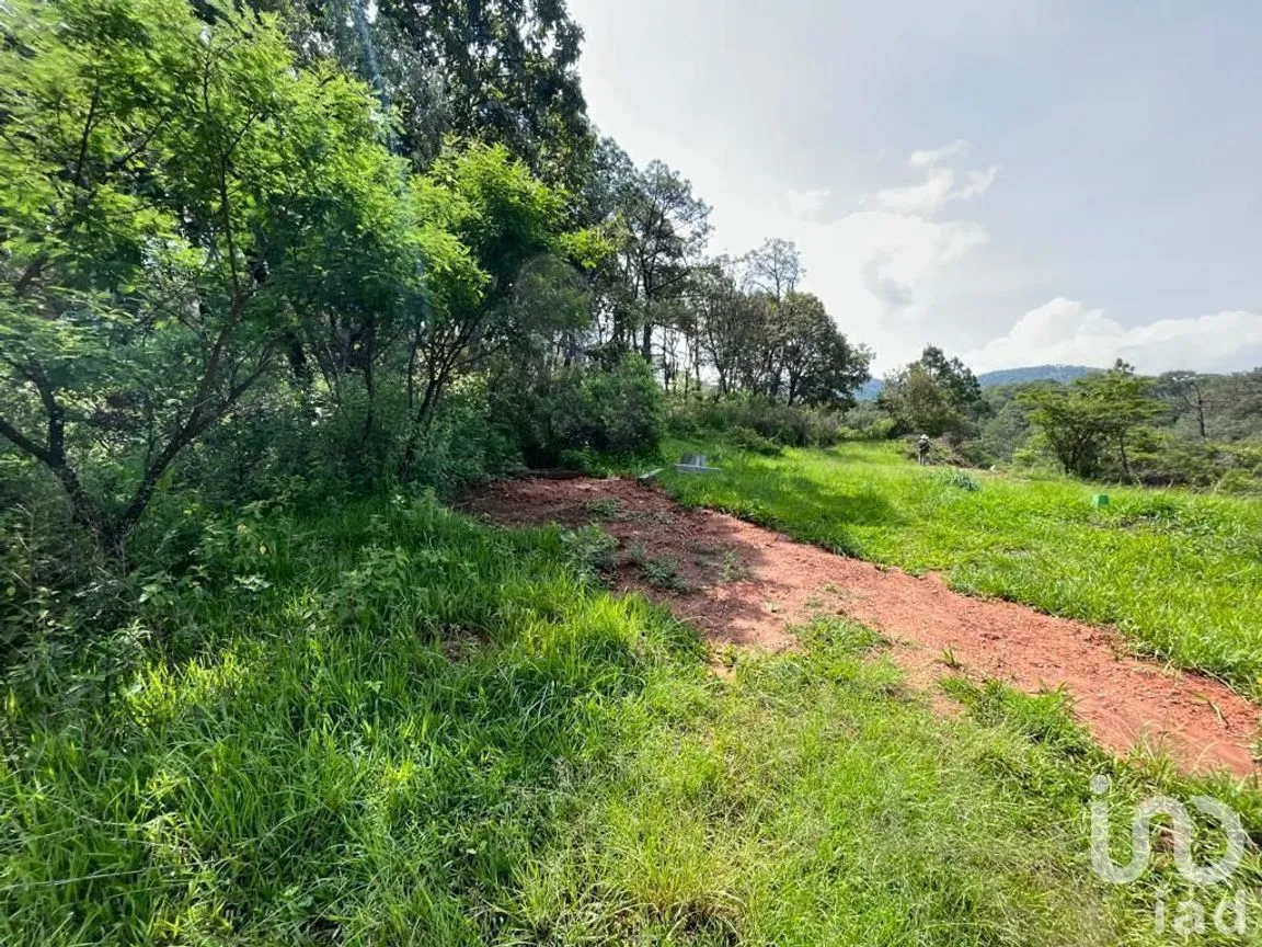 Terreno en Venta en Valle de Bravo, Valle de Bravo, Estado De México | NEX-232169 | iad México | Foto 11 de 24