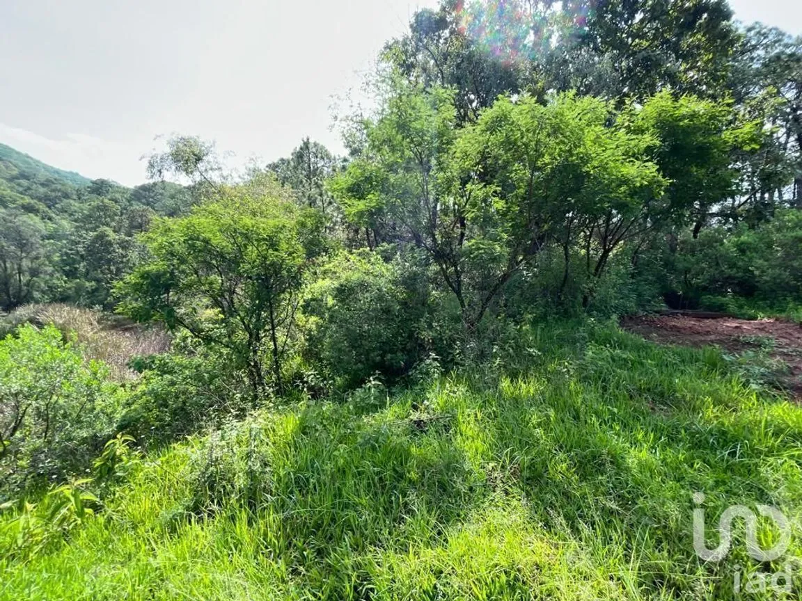 Terreno en Venta en Valle de Bravo, Valle de Bravo, Estado De México | NEX-232169 | iad México | Foto 12 de 24