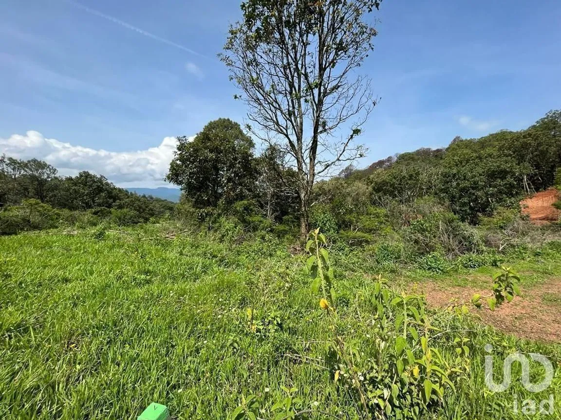 Terreno en Venta en Valle de Bravo, Valle de Bravo, Estado De México | NEX-232169 | iad México | Foto 13 de 24