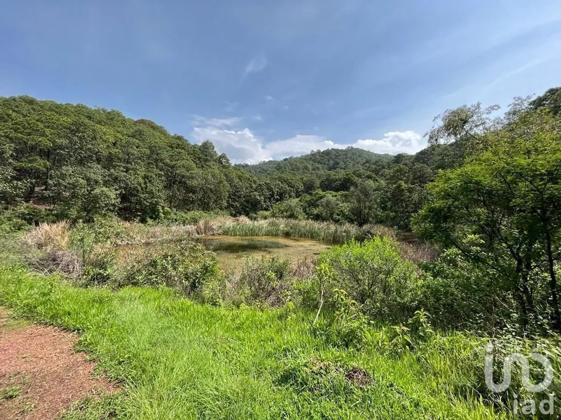 Terreno en Venta en Valle de Bravo, Valle de Bravo, Estado De México | NEX-232169 | iad México | Foto 14 de 24