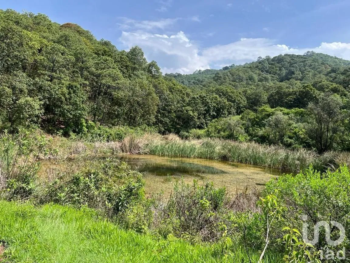 Terreno en Venta en Valle de Bravo, Valle de Bravo, Estado De México | NEX-232169 | iad México | Foto 15 de 24